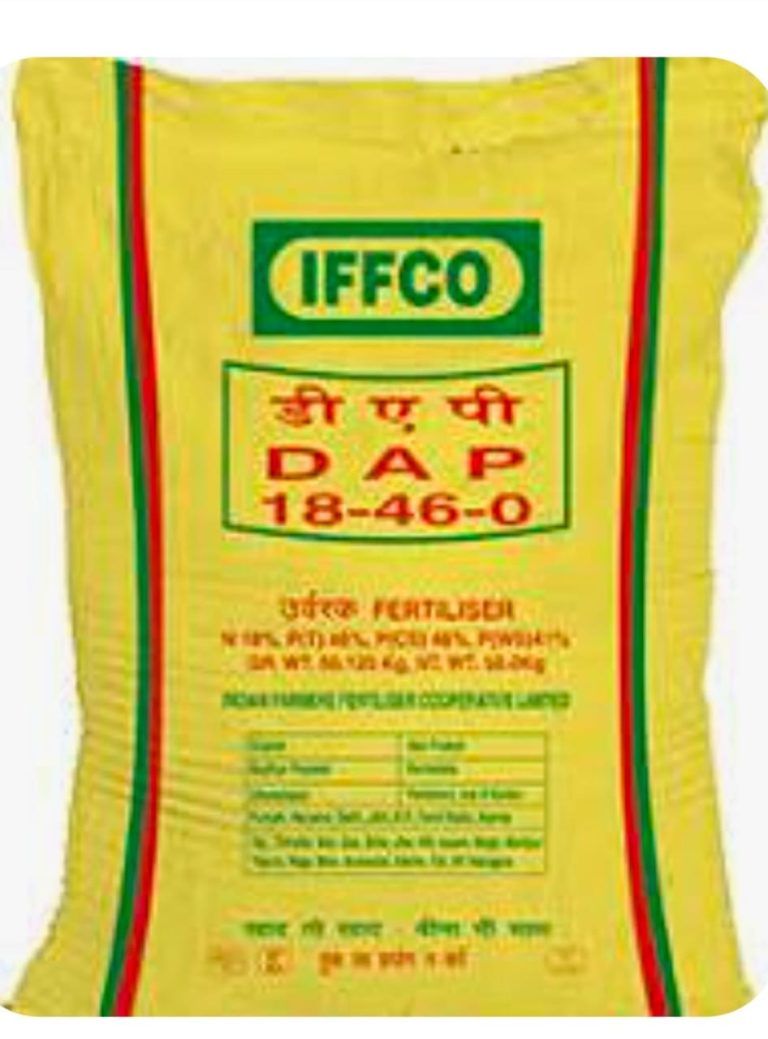 WhatsApp Image 2024-11-15 at 9.14.33 AM
