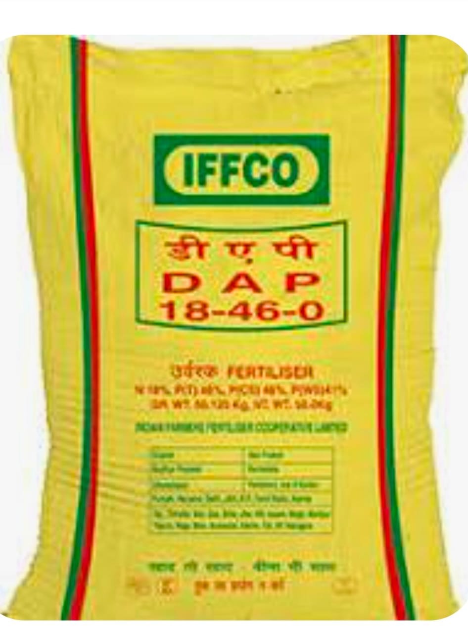 WhatsApp Image 2024-11-15 at 9.14.33 AM